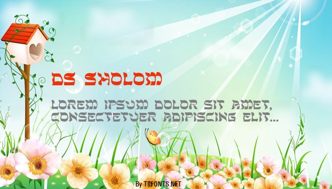 DS Sholom example